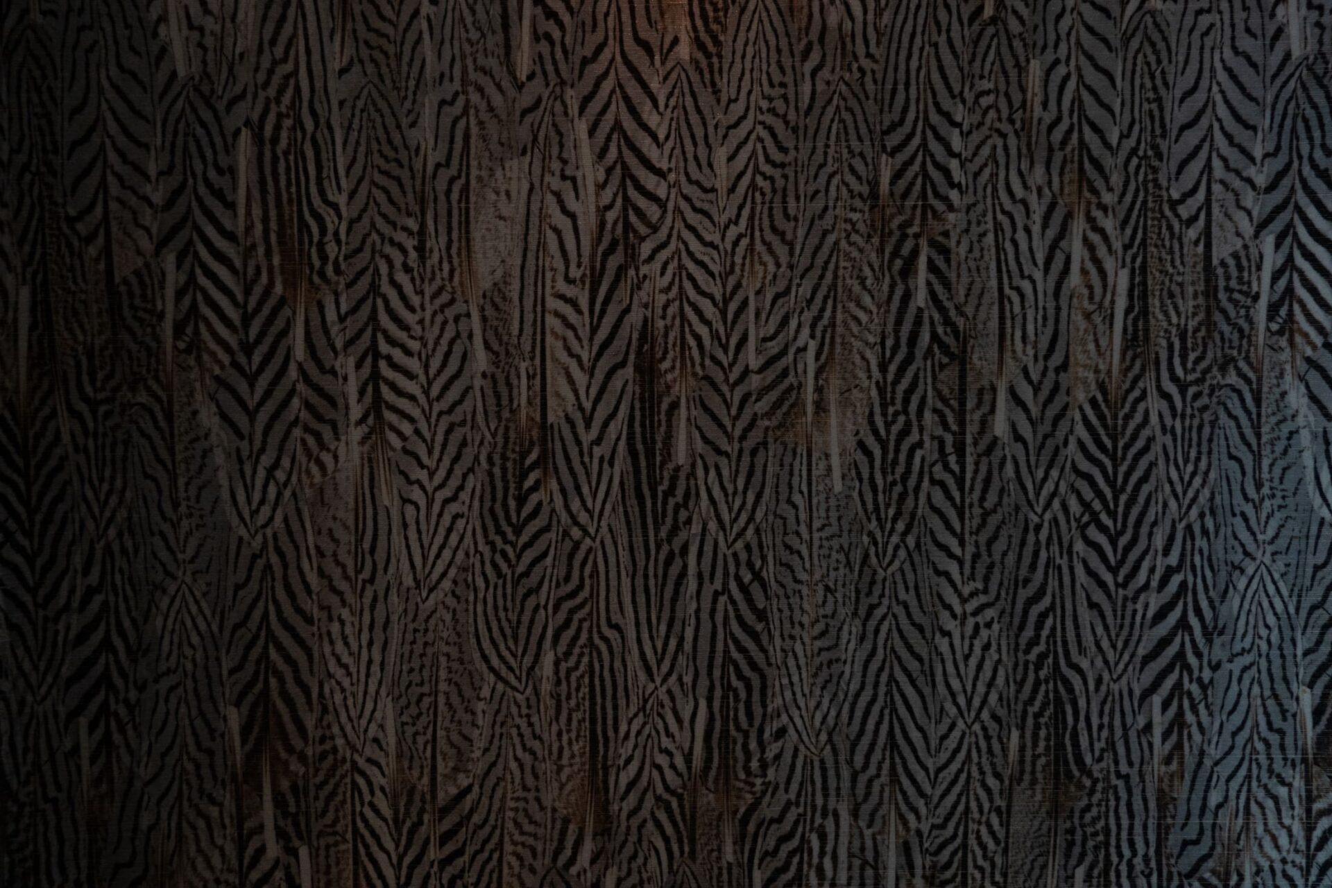 DSC08079