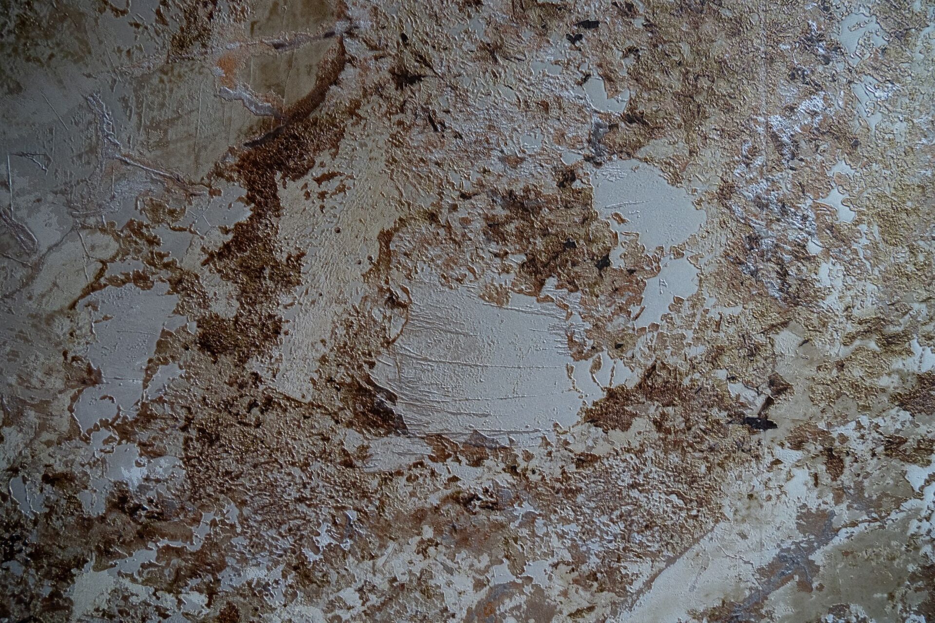 DSC08087